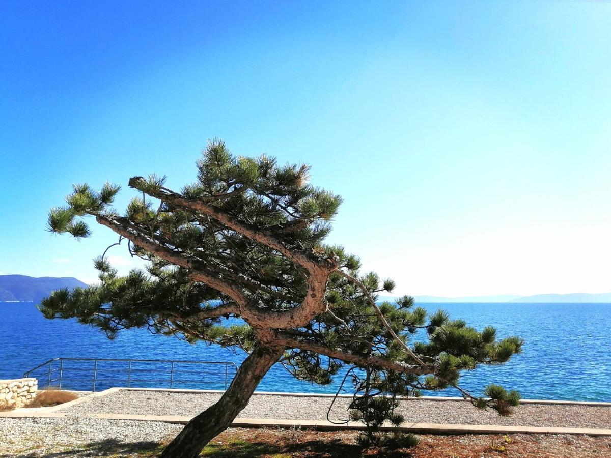 Apartment Layla - Intermezzo With Sea View In Center Of Rabac Dış mekan fotoğraf